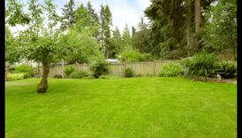 Veidojiet savu ainavu: būtiski dārza dizaina elementi