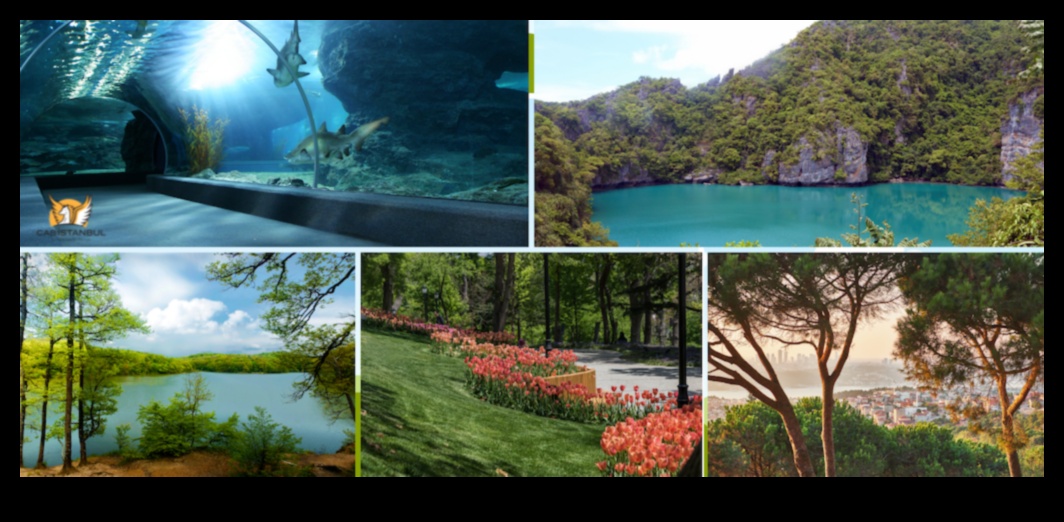 Village Vistas: vizuāli svētki ar burvīgām vietējām atrakcijām