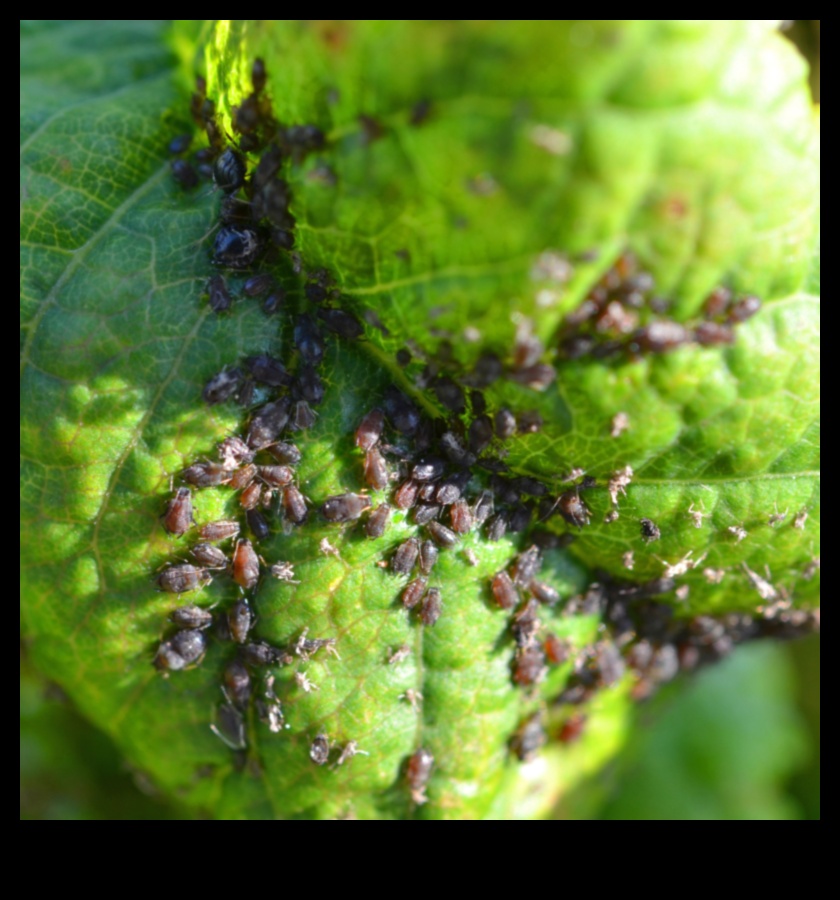 Aizsargājiet savu patvērumu: aizsargājieties pret dārza kaitēkļiem