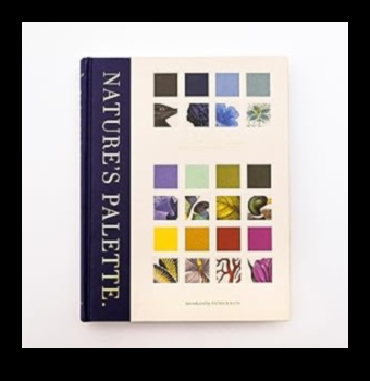 Dabas palete: uzlabojiet savu oāzi ar dārza mākslu