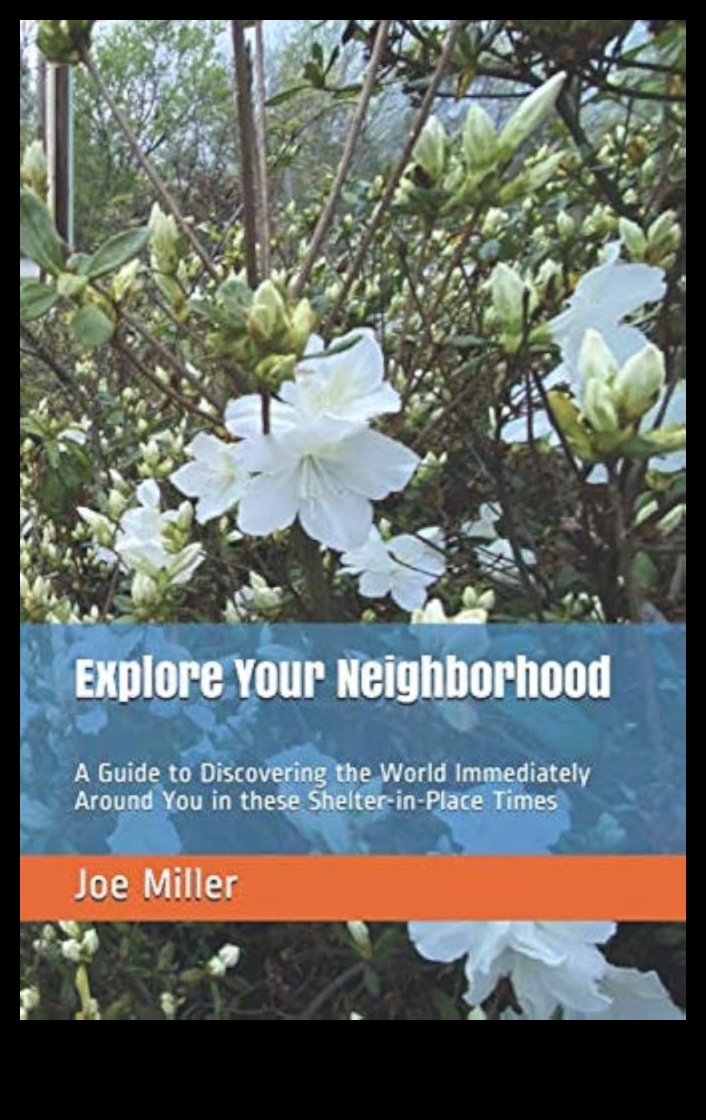 Navigācija apkaimē: kursa plānošana vietējām apskates vietām