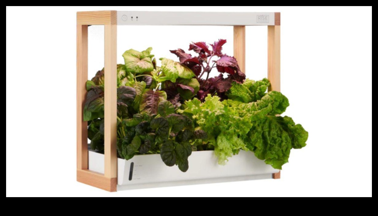 Green Guardian: videi draudzīgas dāvanas un ilgtspējīgi produkti videi draudzīgam cilvēkam