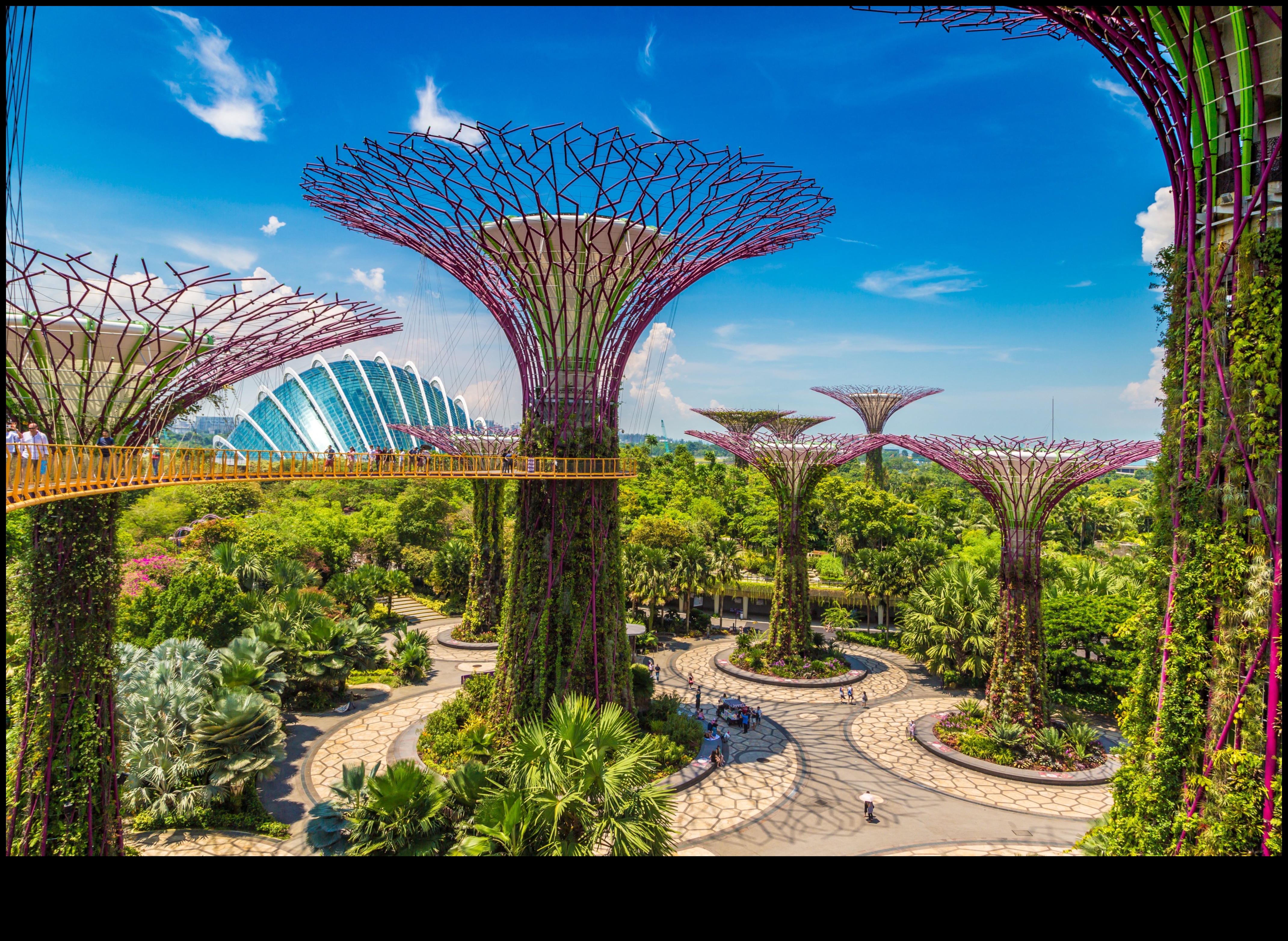 Sasniedzot zaļo: vertikālie dārzkopības piedzīvojumi