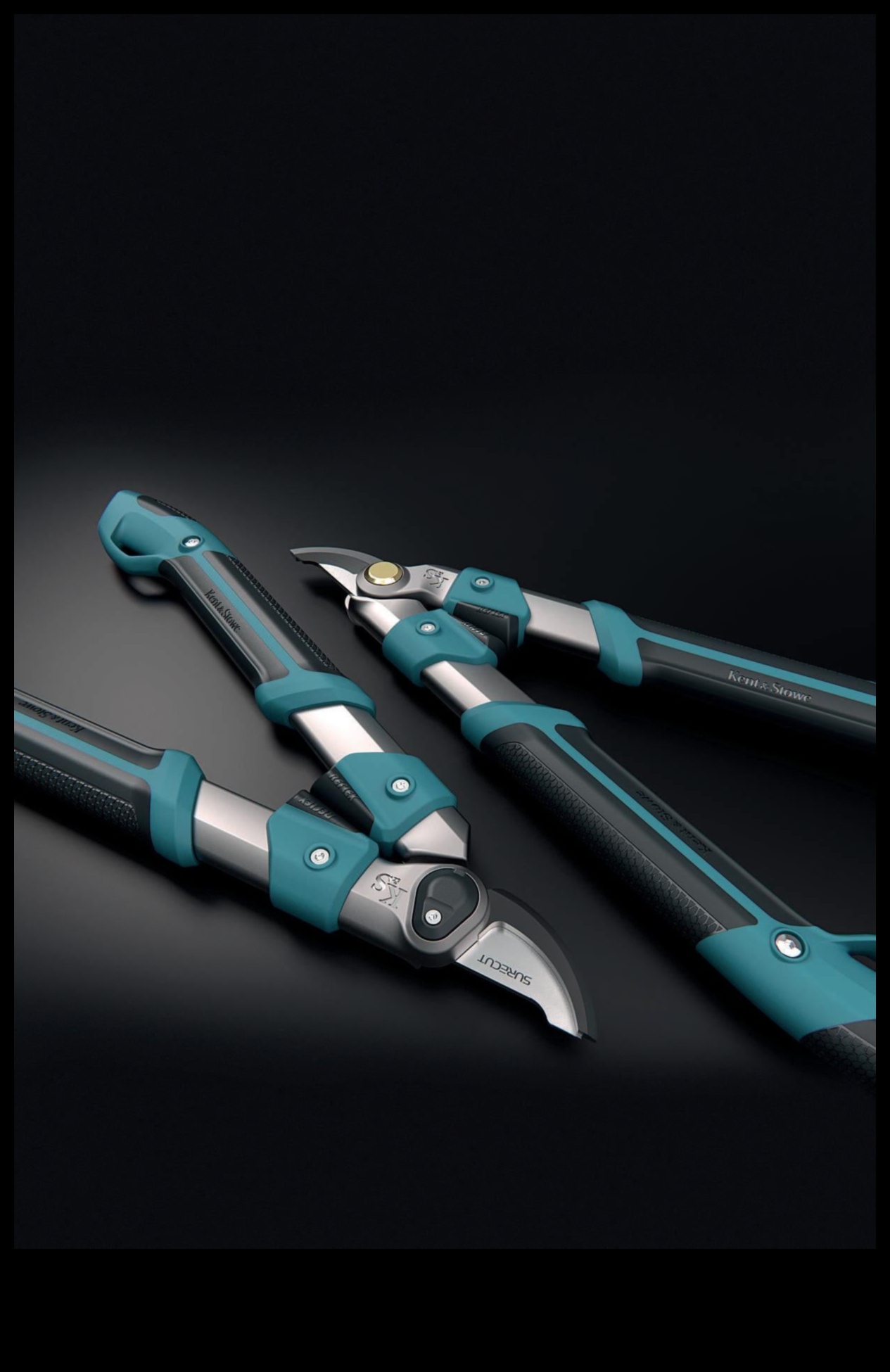 Garden Glee: svarīgi līdzekļi ziedēšanai un skaistumam