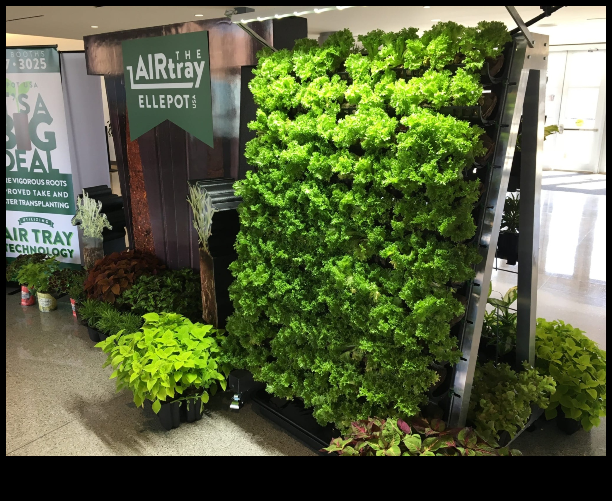 Kāpšana paradīzē: atklāta vertikālās dārzkopības meistarība