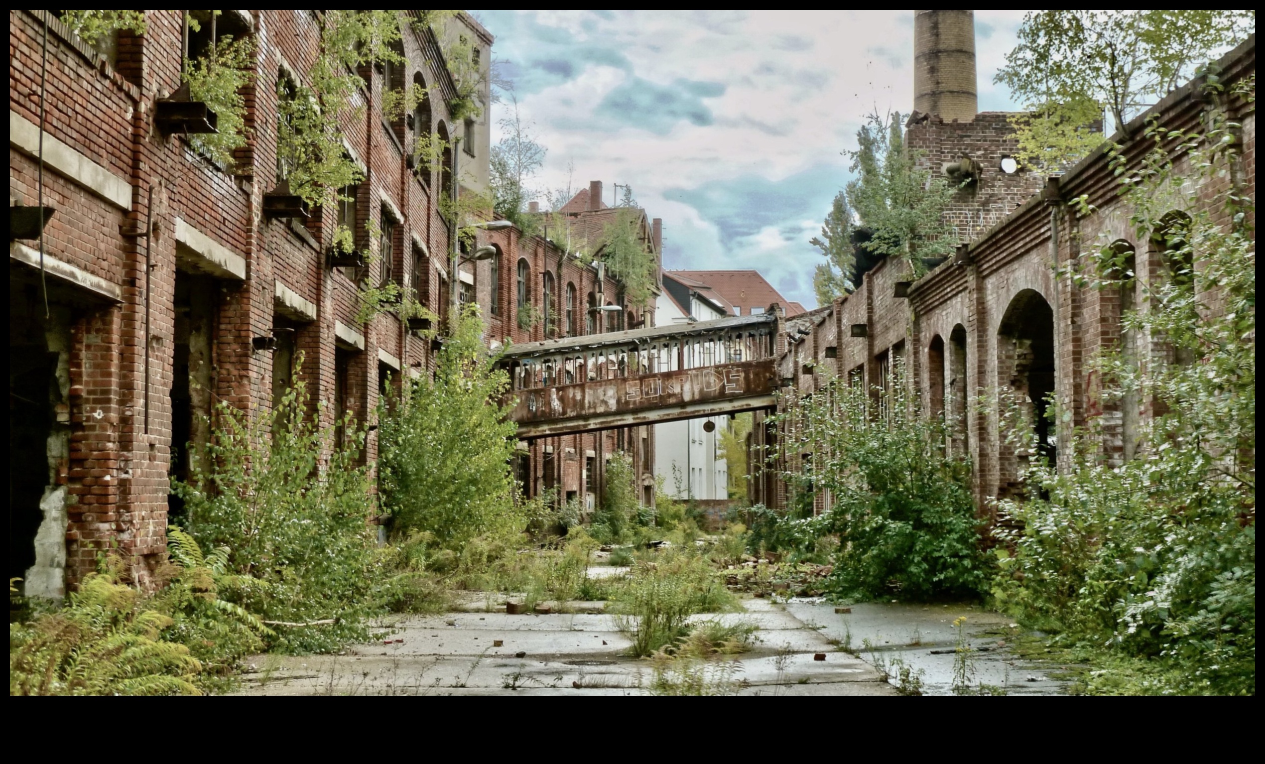 Pārdomātas drupas: dzīvības iedvesma vēsturiskās vietās