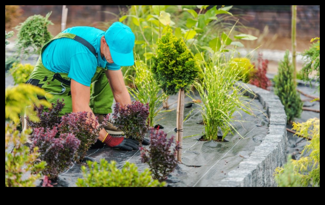 Sezonas krāšņums: dārza kopšanas apgūšana visu gadu