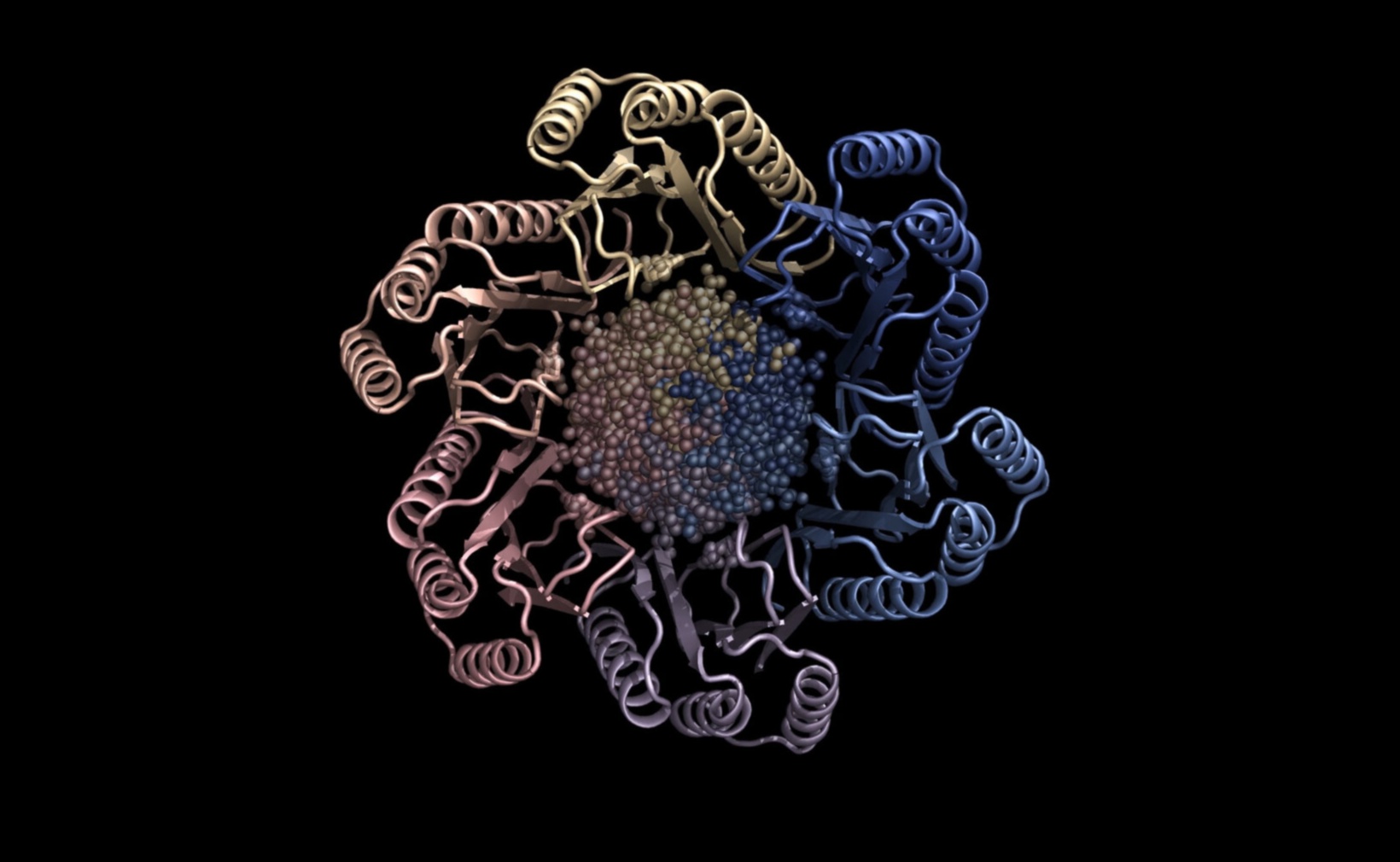 Veselības pikseļu māksla: radošas biotehnoloģijas izpētes amata apgūšana