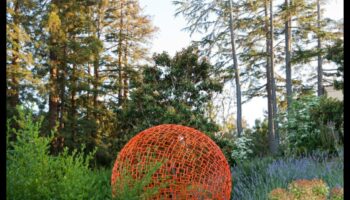 Dabas palete: uzlabojiet savu oāzi ar dārza mākslu