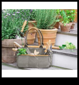 Garden Glee: svarīgi līdzekļi ziedēšanai un skaistumam