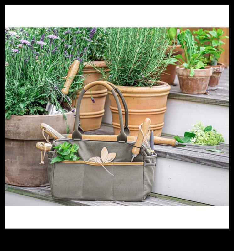 Garden Glee: svarīgi līdzekļi ziedēšanai un skaistumam