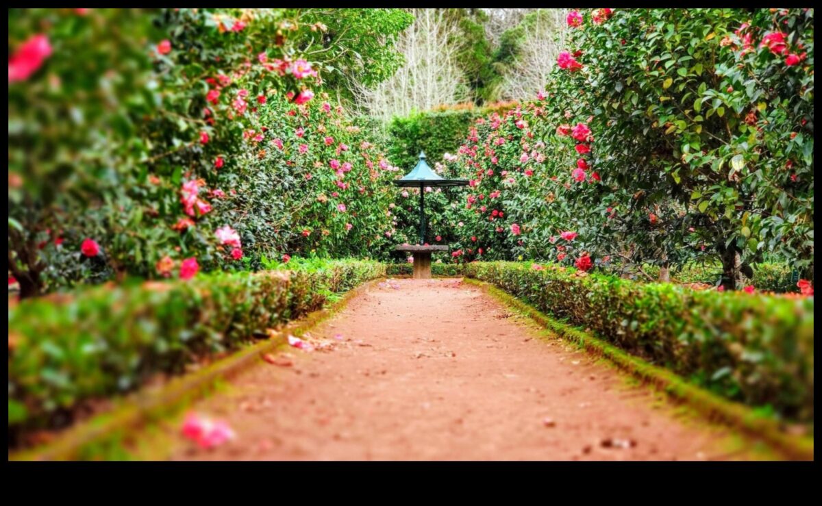 Mākslinieciskā harmonija: paceliet savu dārzu ar elegantiem akcentiem