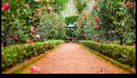 Mākslinieciskā harmonija: paceliet savu dārzu ar elegantiem akcentiem