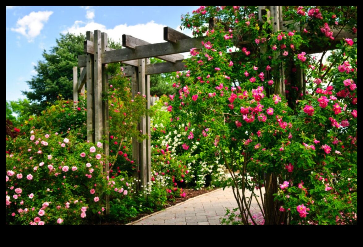 Kāpšana paradīzē: atklāta vertikālās dārzkopības meistarība