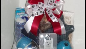 Paws and Play: Suņu tēmas dāvanu idejas