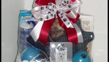 Paws and Play: Suņu tēmas dāvanu idejas