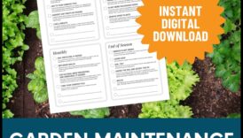 Sezonas simfonija: dārza kopšanas rutīnas saskaņošana