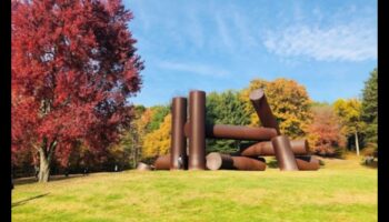 Skulpturālie brīnumi: dārza mākslas šarmu izpēte