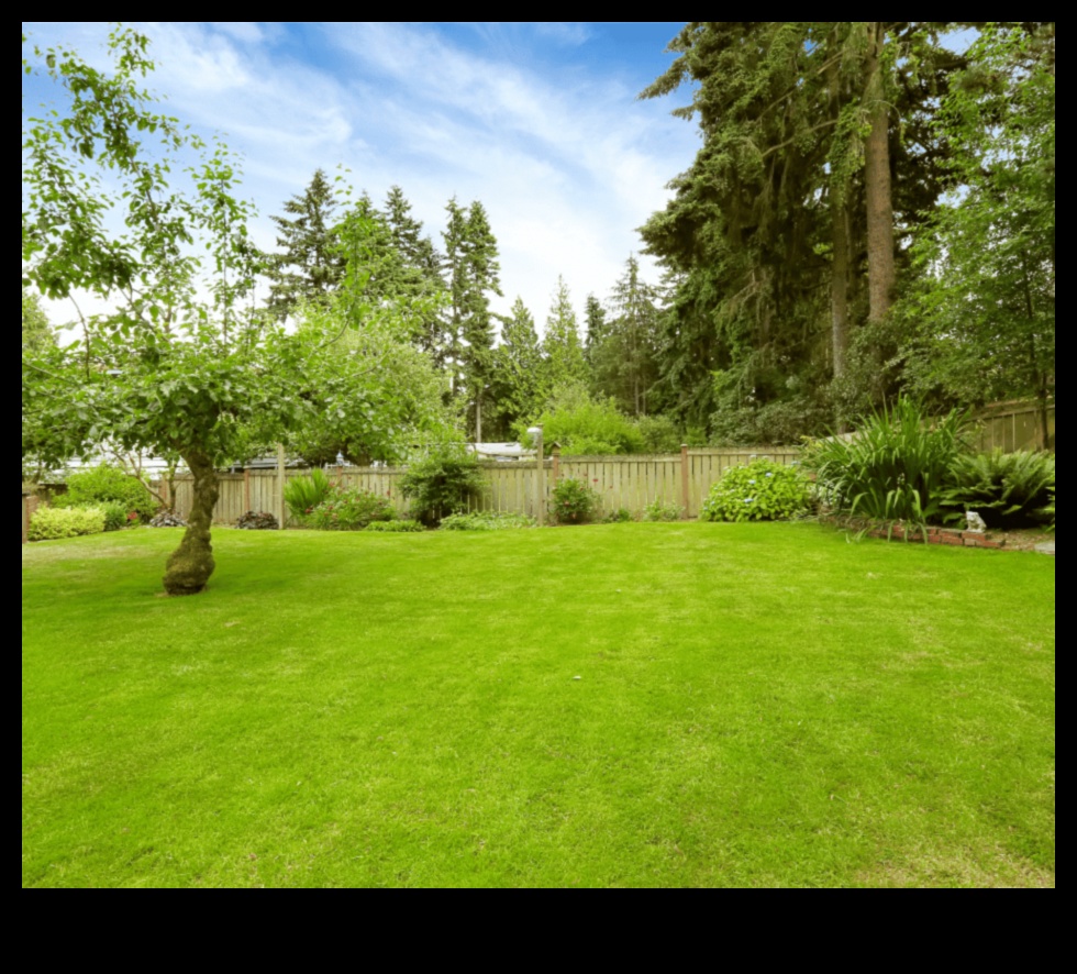 Veidojiet savu ainavu: būtiski dārza dizaina elementi